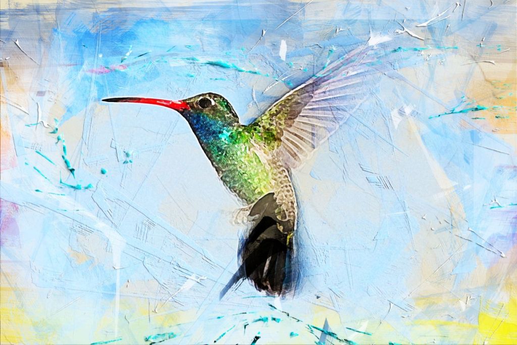 Colibri, Favola
